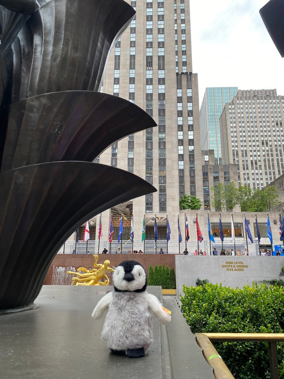 Vereinigte Staaten - New York - 