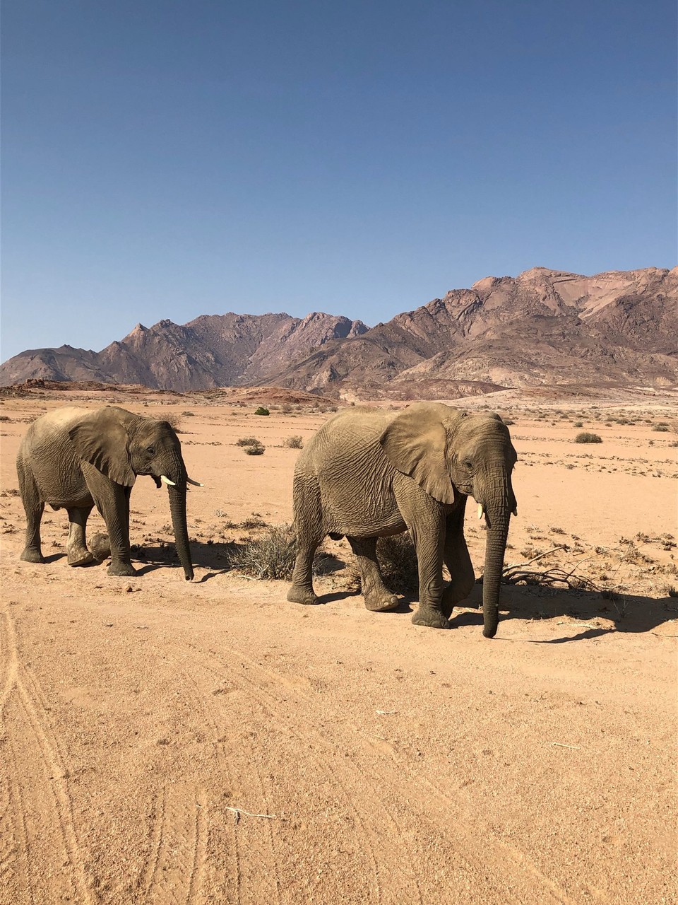 Namibia - Uis - 