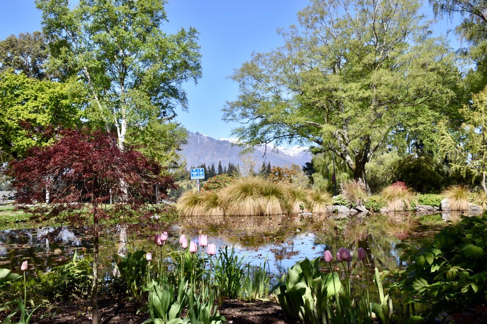 Neuseeland - Queenstown - Übrigens blühen hier gerade die Tulpen, wie ihr sehen könnt.