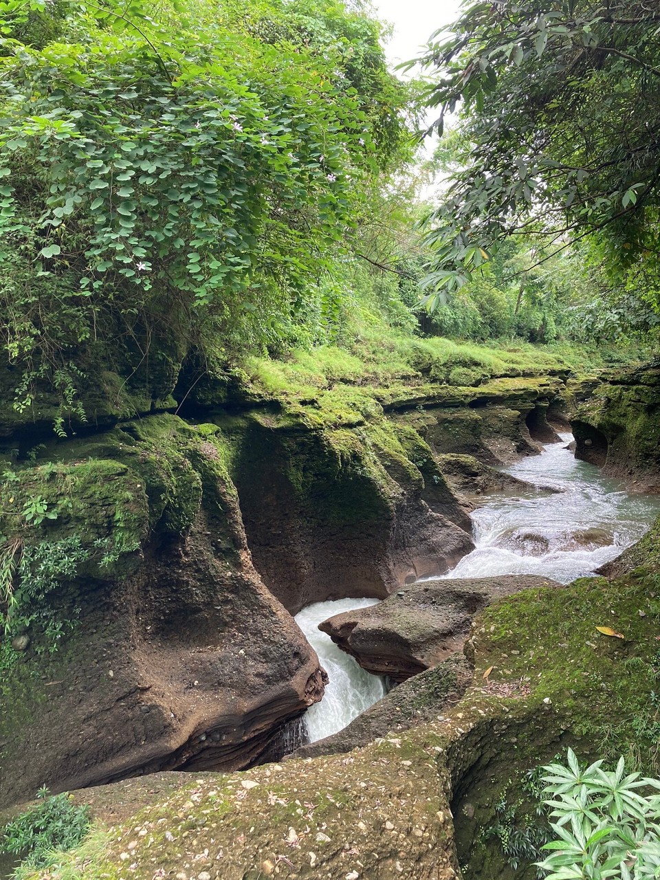 Nepal - Pokhara - Davis Falls