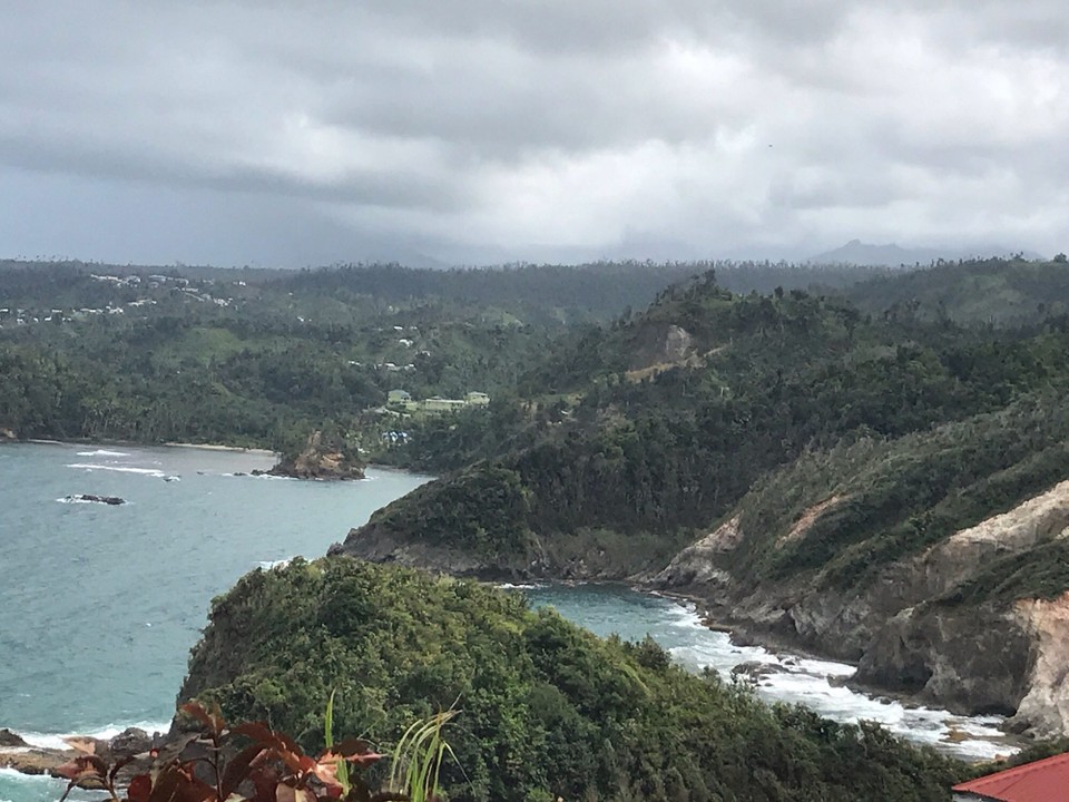 Dominica -  - 