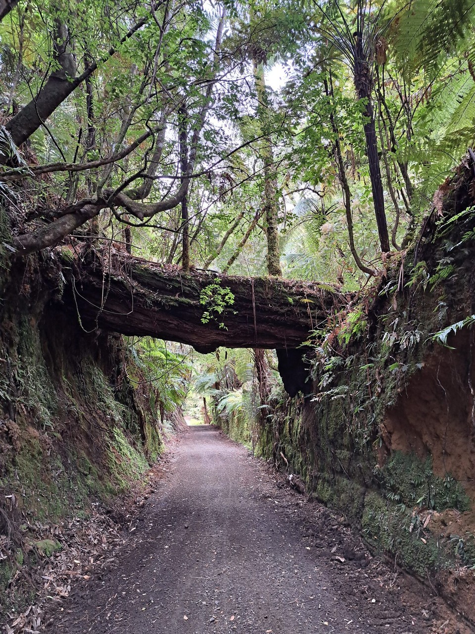 Neuseeland - Taumarunui - 