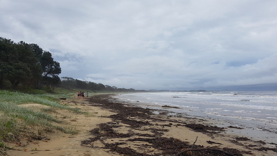Australien - Arrawarra - Unser Surf-Strand.