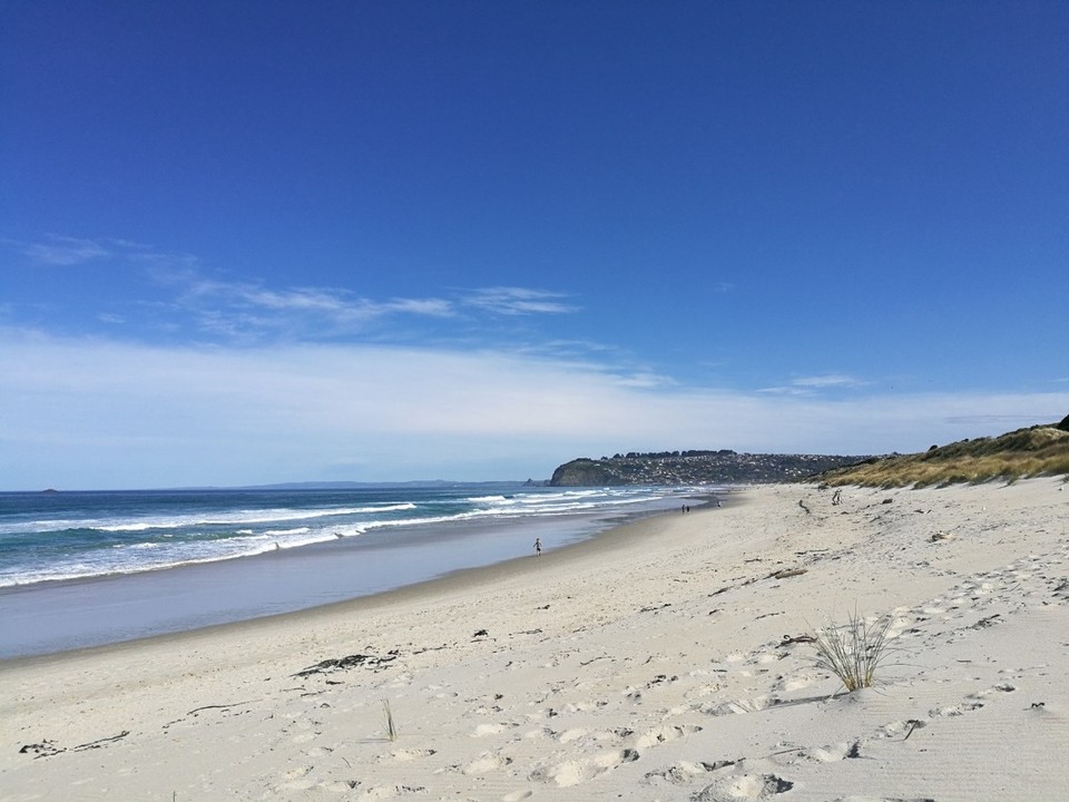 Neuseeland - Dunedin - St. Clair Beach