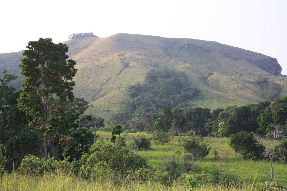 Gabun - Lopé National Park - Lope NP