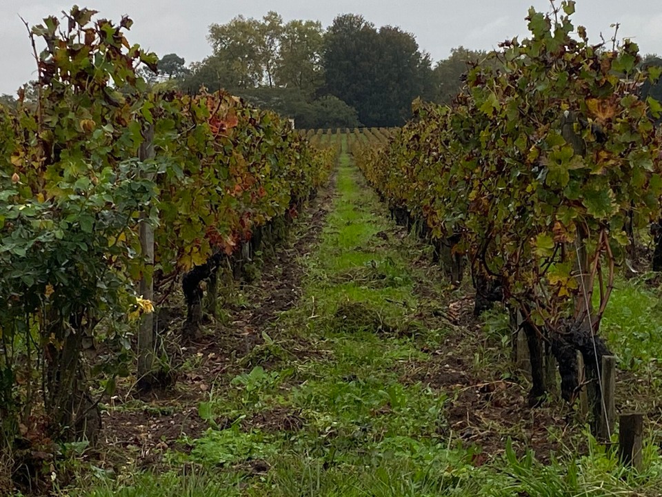 Frankreich - Martillac - 