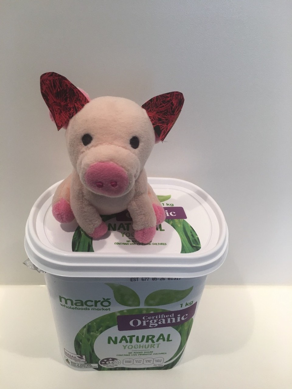 Australien - Brighton - Naturejoghurt bringt Schmerzlinderung 