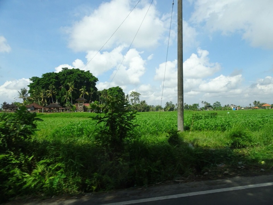 Indonesia - Tegenungan Waterfall - De mooie weg naar Ubud