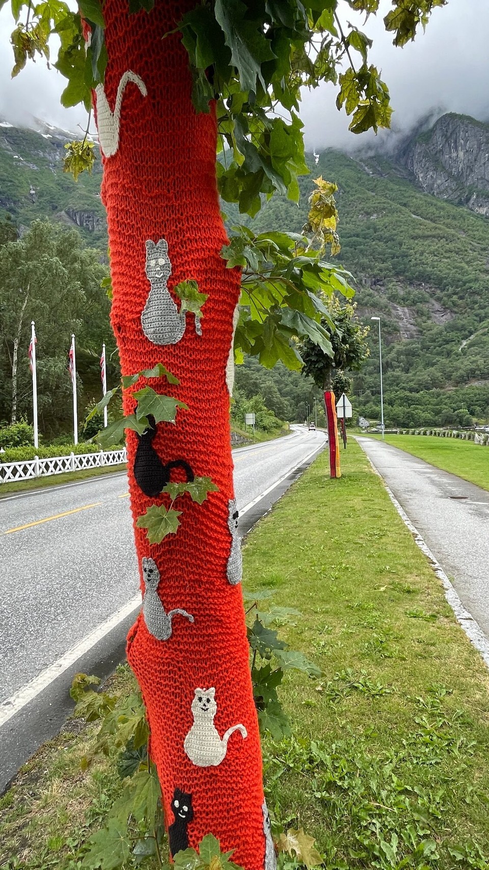 Norwegen - Bergen - Bestrickte Bäume  in Eidfjord