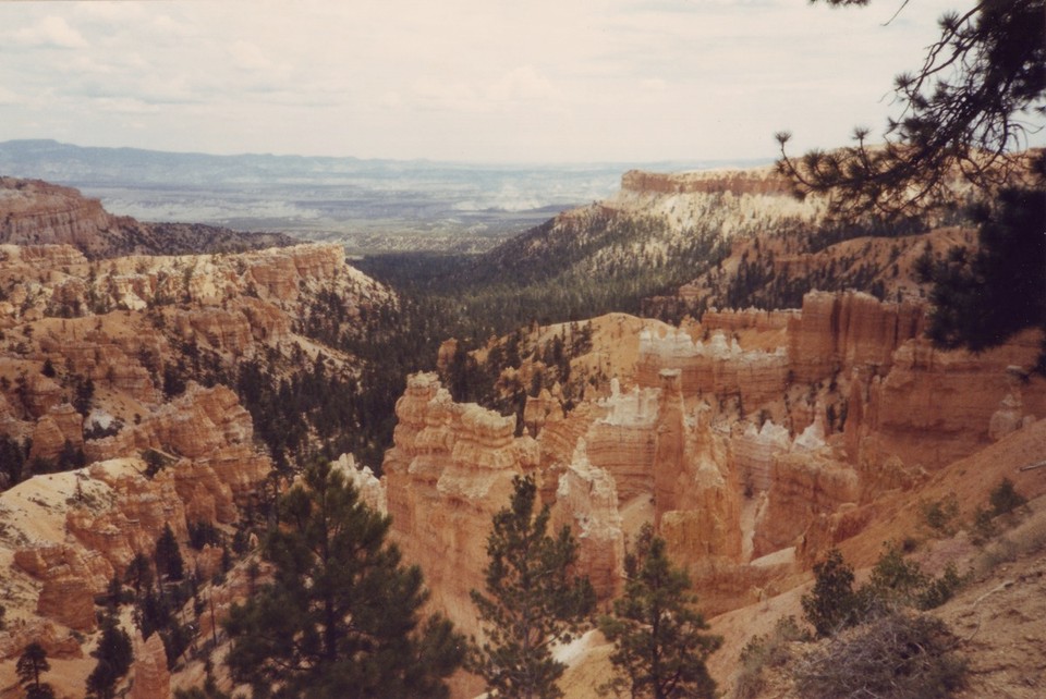 United States - Grand Canyon National Park - 