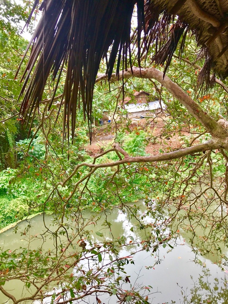Sri Lanka -  - 