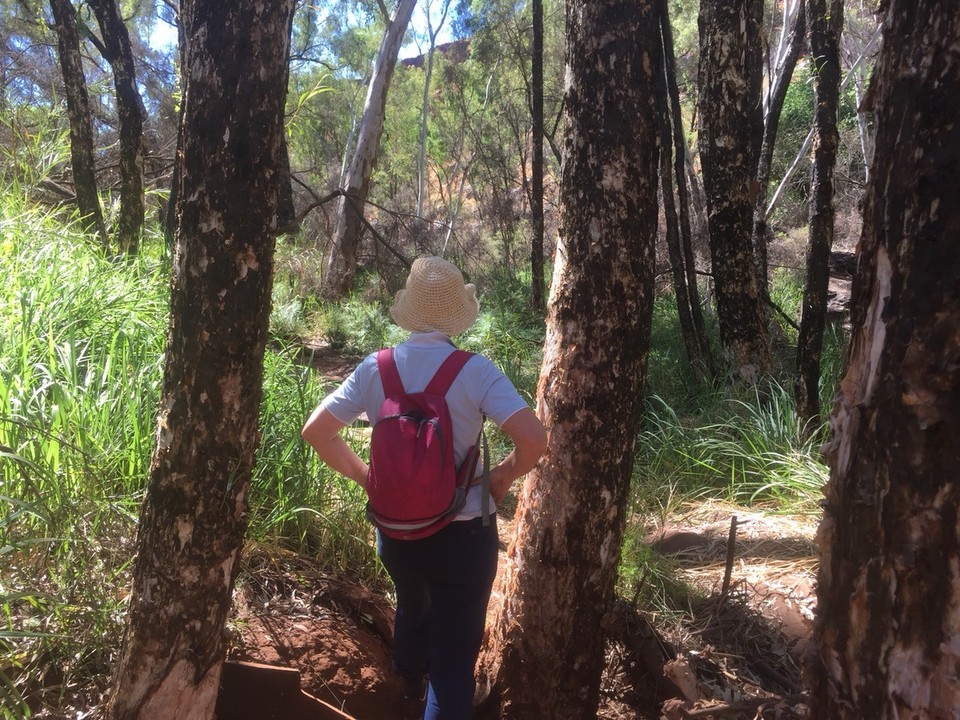 Australien -  - Wanderung zum Fortescue Wasserfall 