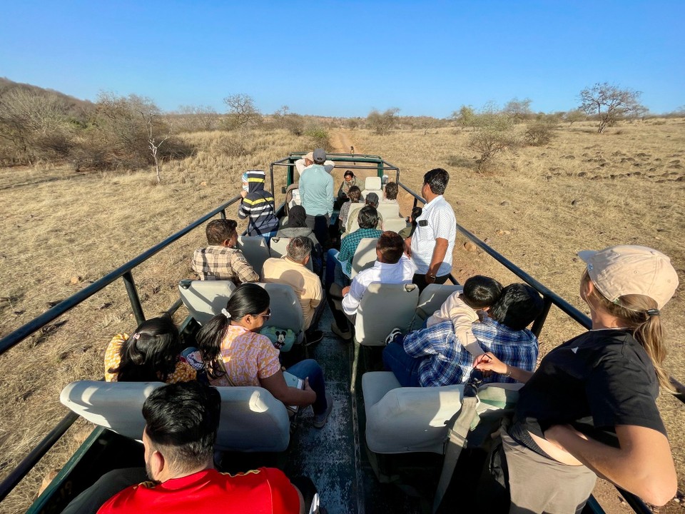 Indien - Ranthambore - 