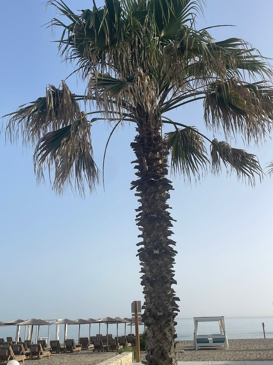 Griechenland - Gazi - 