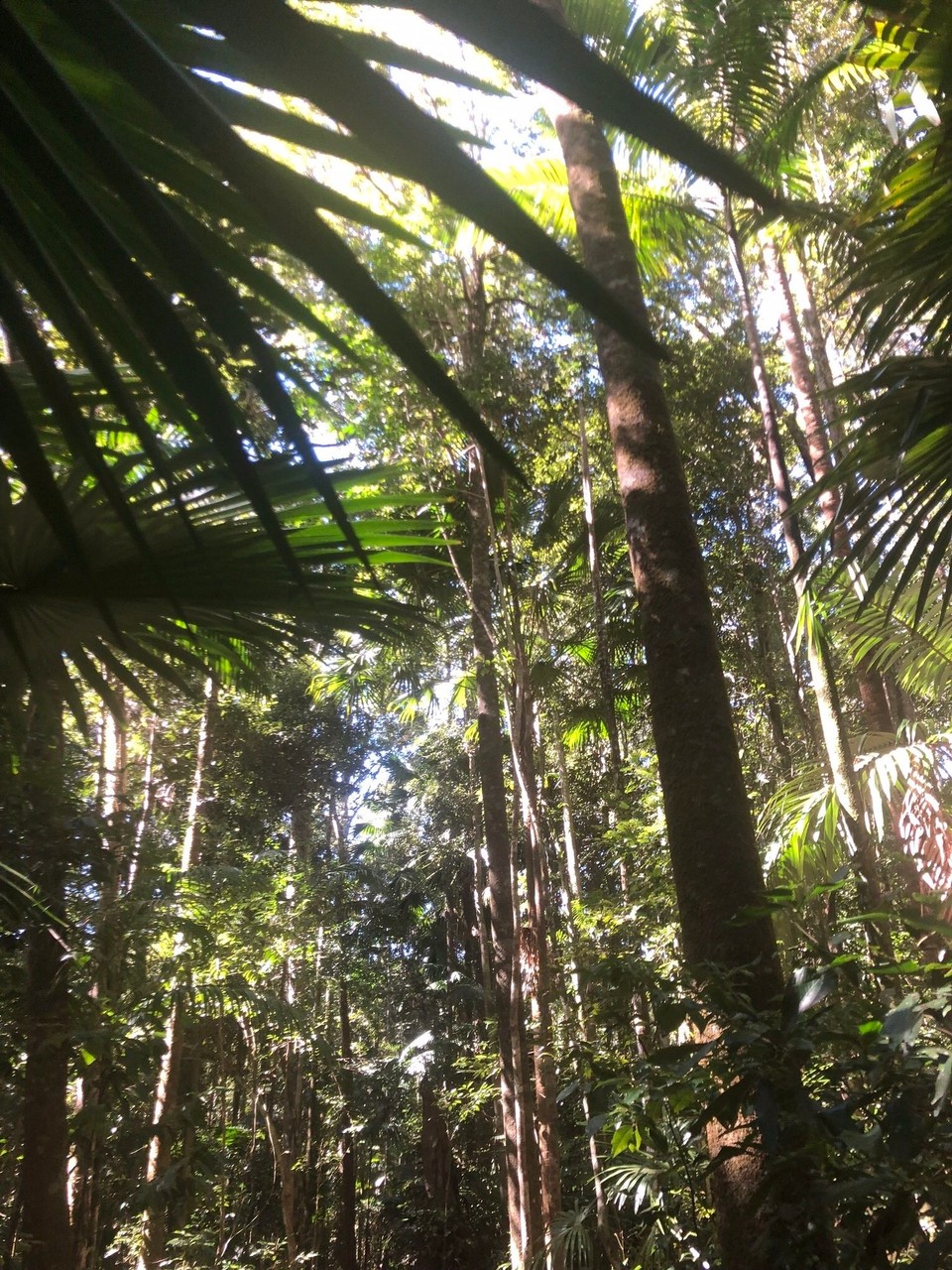 Australia - Mackay Harbour - 