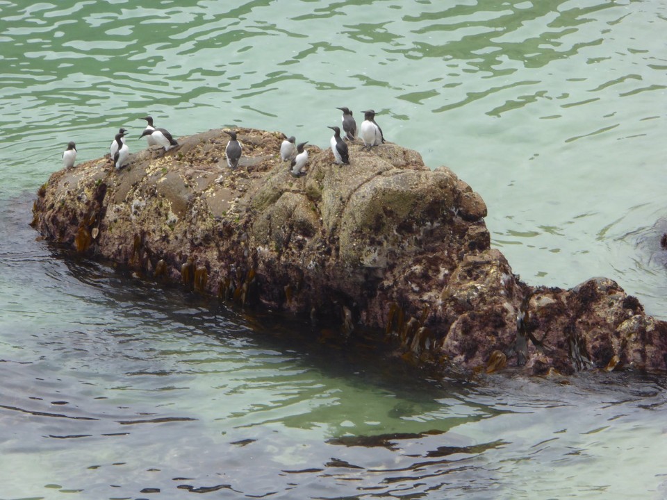 Ireland - Kilmore Quay - 