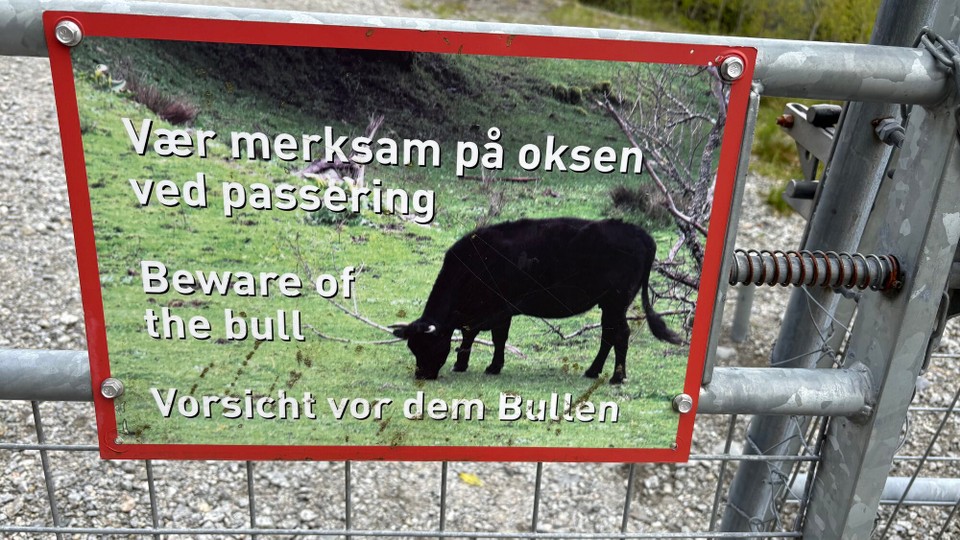 Norwegen - Aksdal - Da hätte ich wohl keine roten Klamotten anziehen sollen 