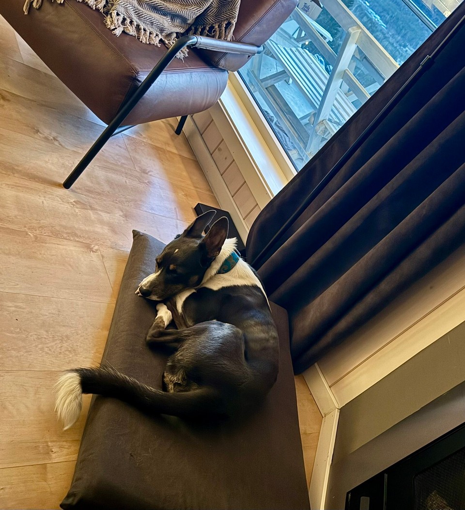 Norwegen - Øyer - Warmes Plätzchen am Kamin. 