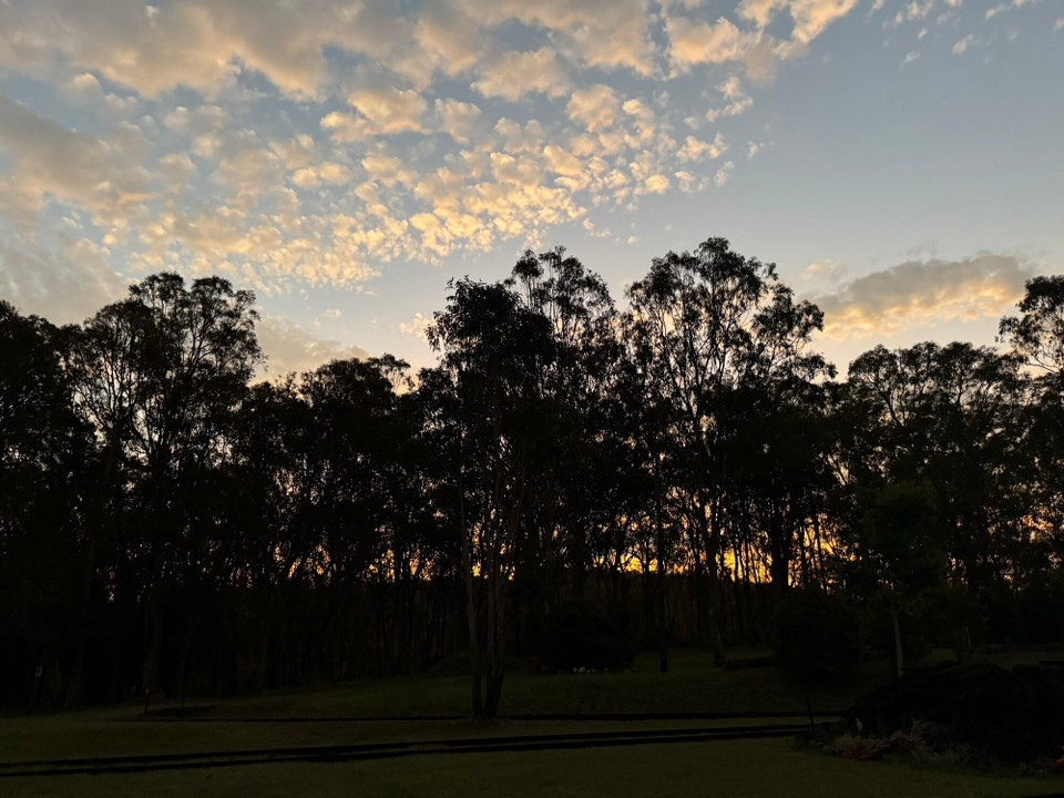 Australien - Ravenshoe - 
