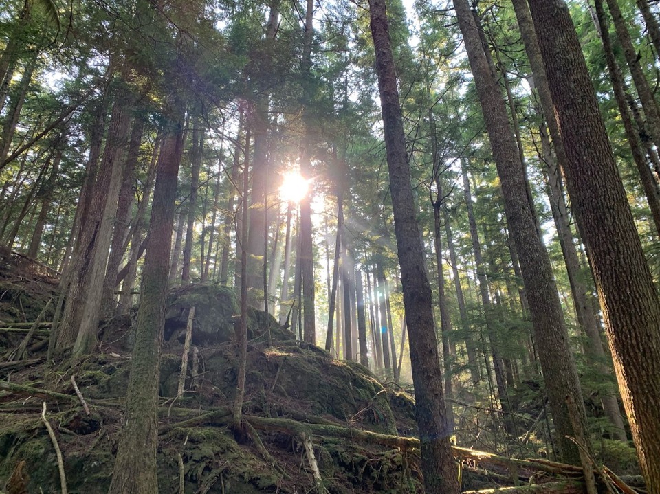 Kanada - Mount Waddington A - 