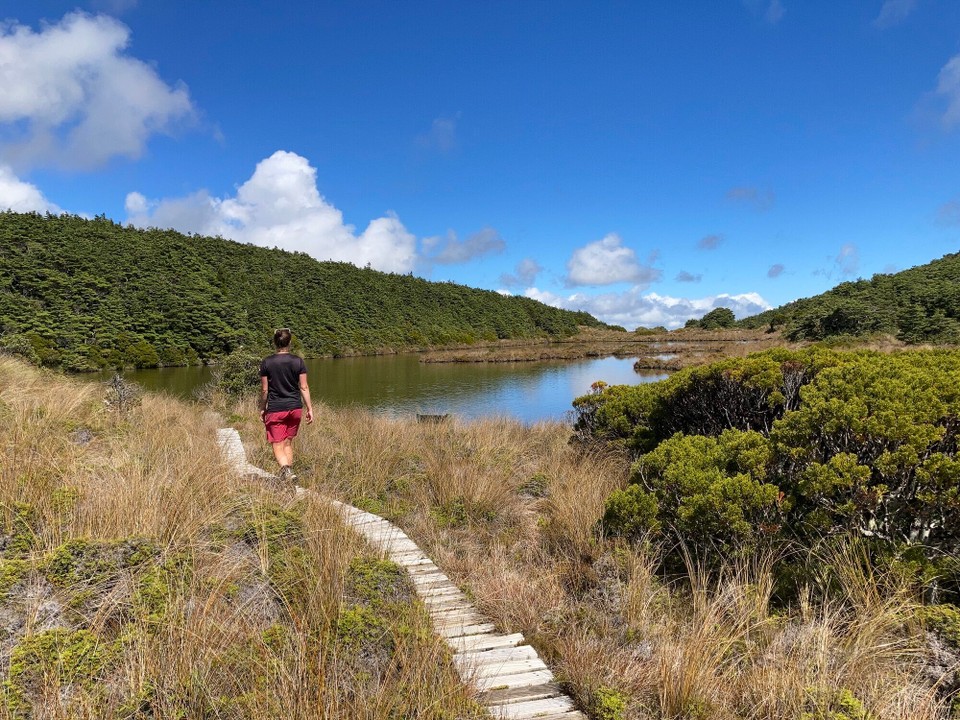 Neuseeland - Tongariro National Park - 