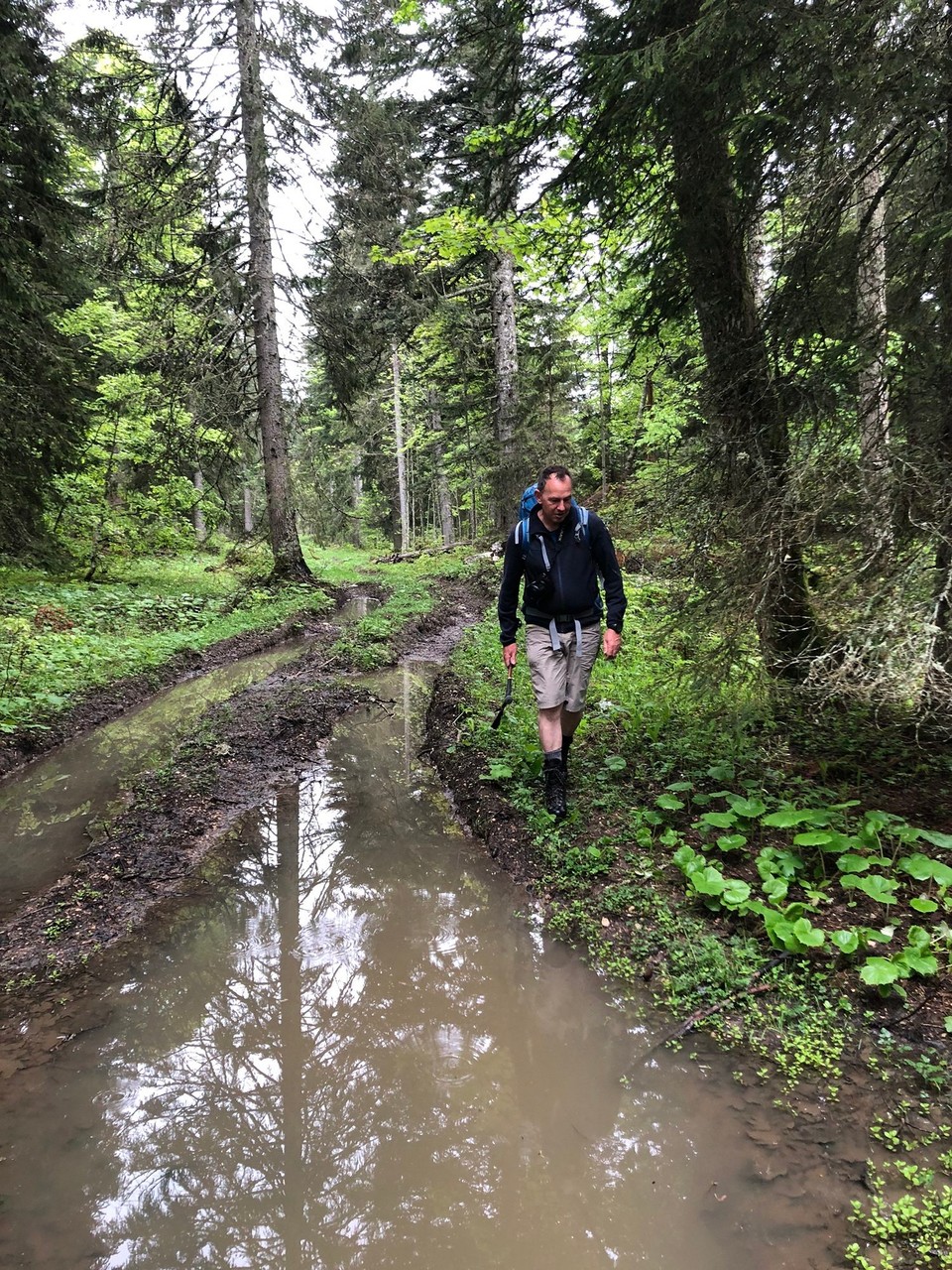 Schweiz - Le Chenit - 