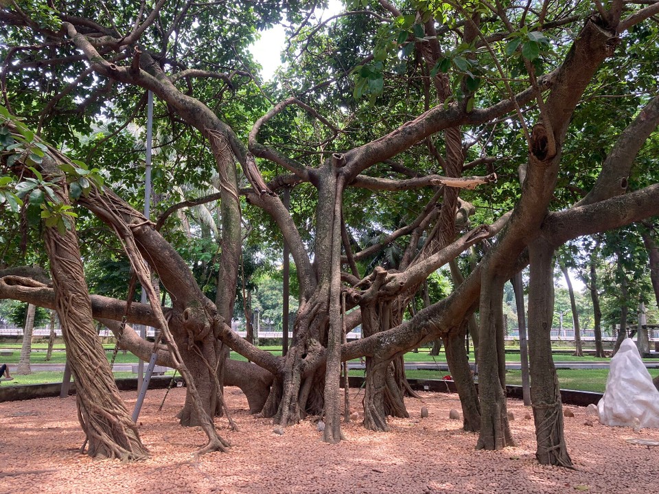 Vietnam - Hanoi - 