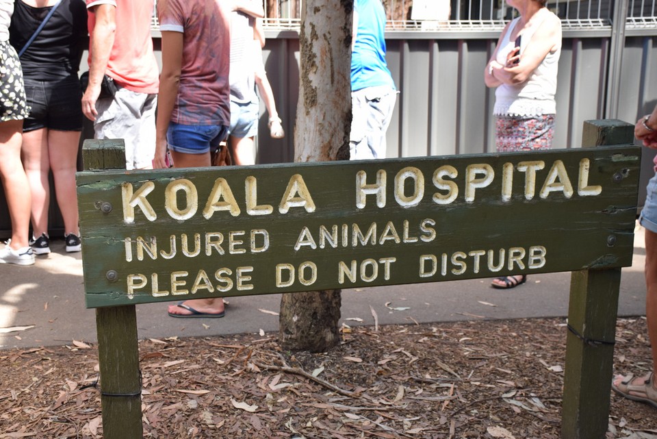Australien - Port Macquarie - 