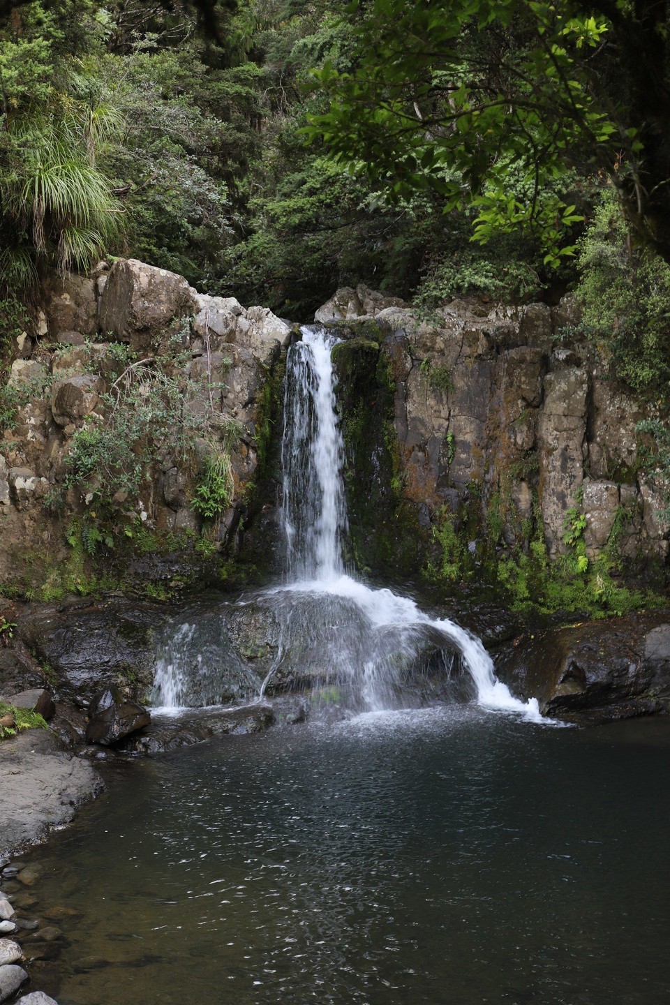 Neuseeland - Coromandel - Waiau Falls