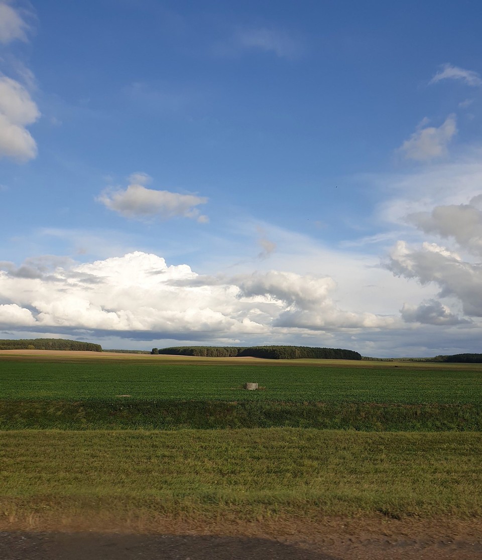 Belarus - Brest - Pretty standard southern Belarus scenery - a lot of cleared land for crops