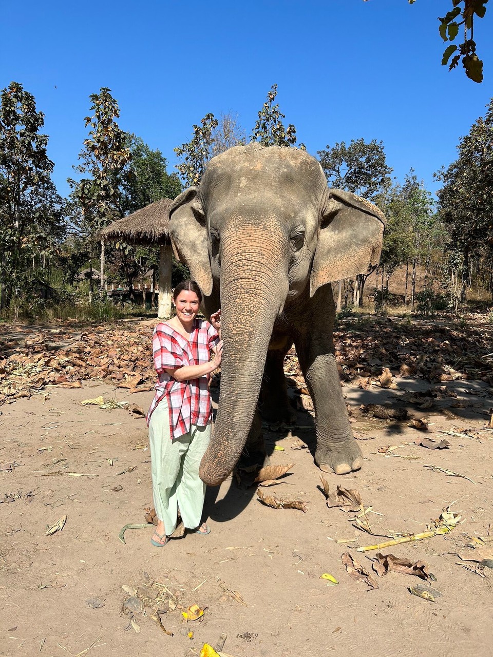 Thailand - Chiang Mai - 