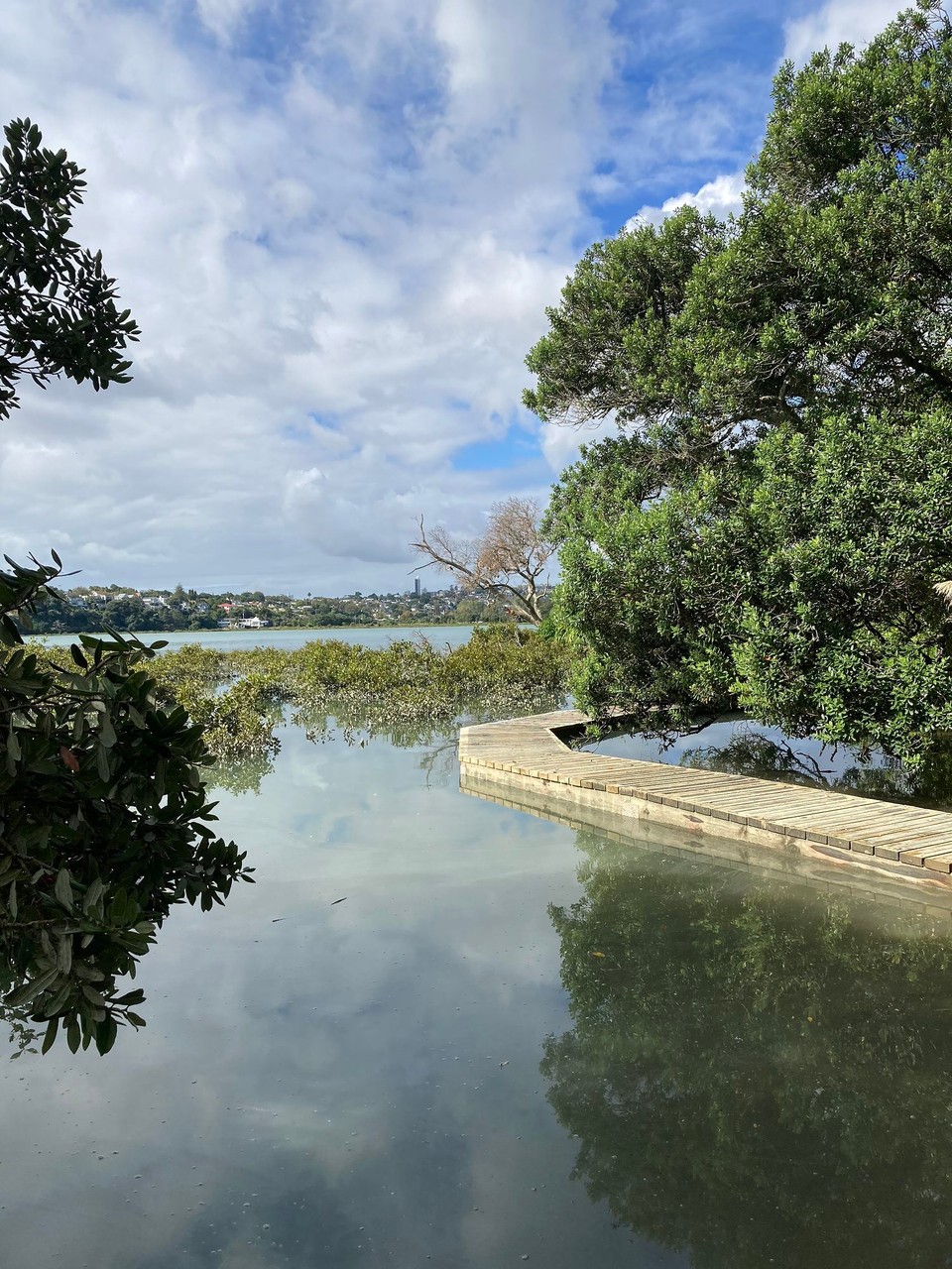 Neuseeland - Auckland - Hobson Bay Walkway