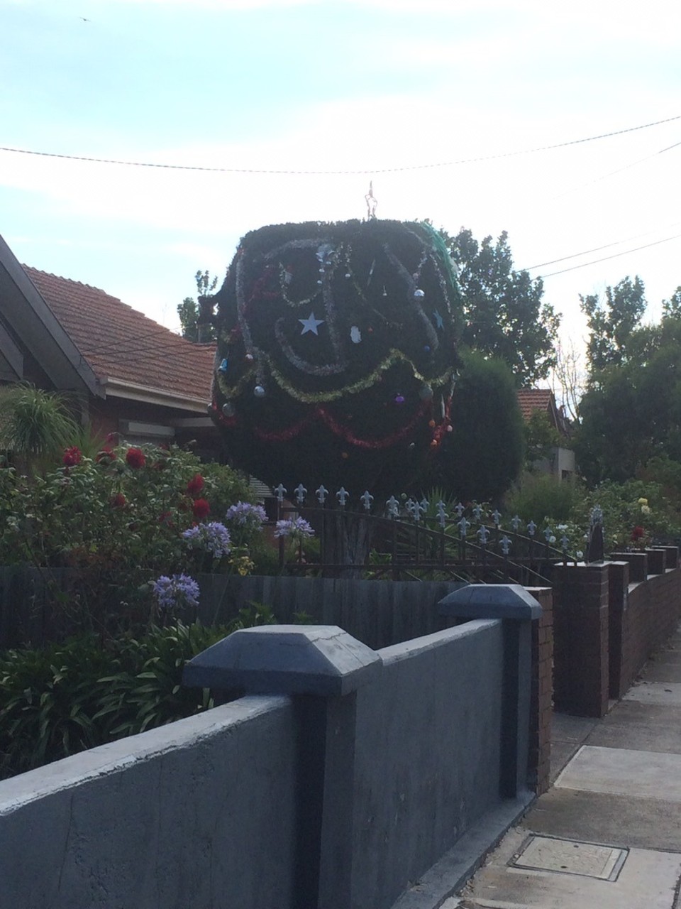 Australia - Fitzroy - Christmas deco in Brunswick. 