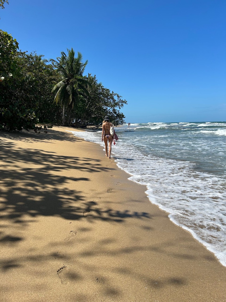 Costa Rica - Puerto Viejo de Talamanca - 