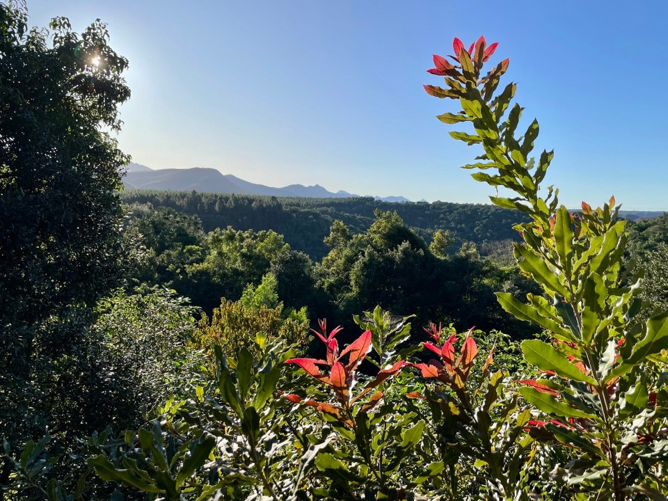 Südafrika - Kareedouw - 