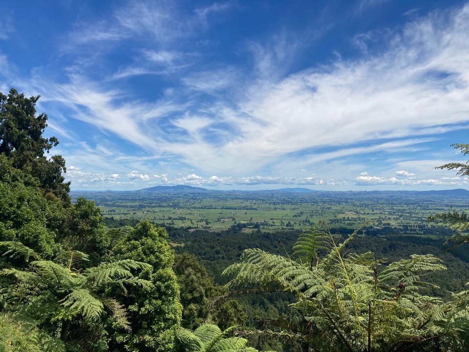 Neuseeland - Matamata - 