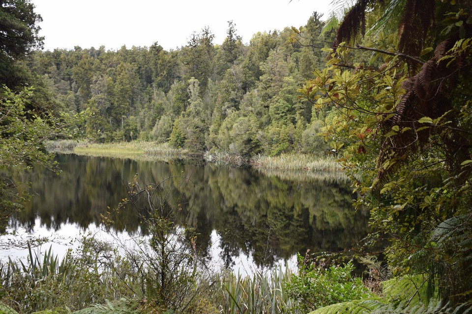 Neuseeland - Lake Matheson - 