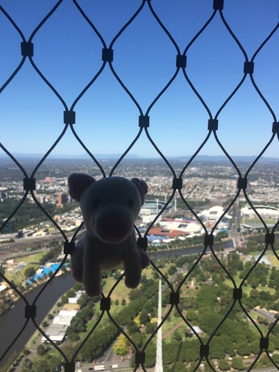 Australien - Southbank - Hilfe, was macht ihr mit mir!