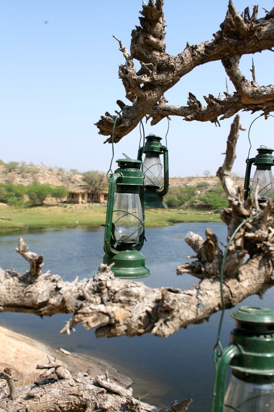 Lakshman Sagar -  - nice details everywhere