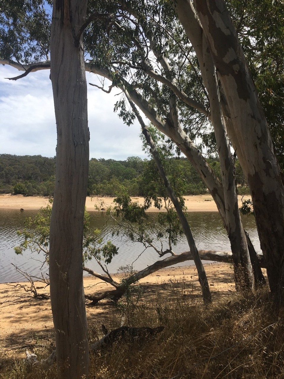 Australien - Lyndoch - 