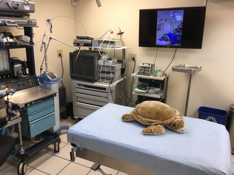 Vereinigte Staaten - Key West - 