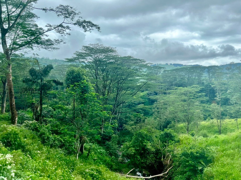 Sri Lanka -  - 