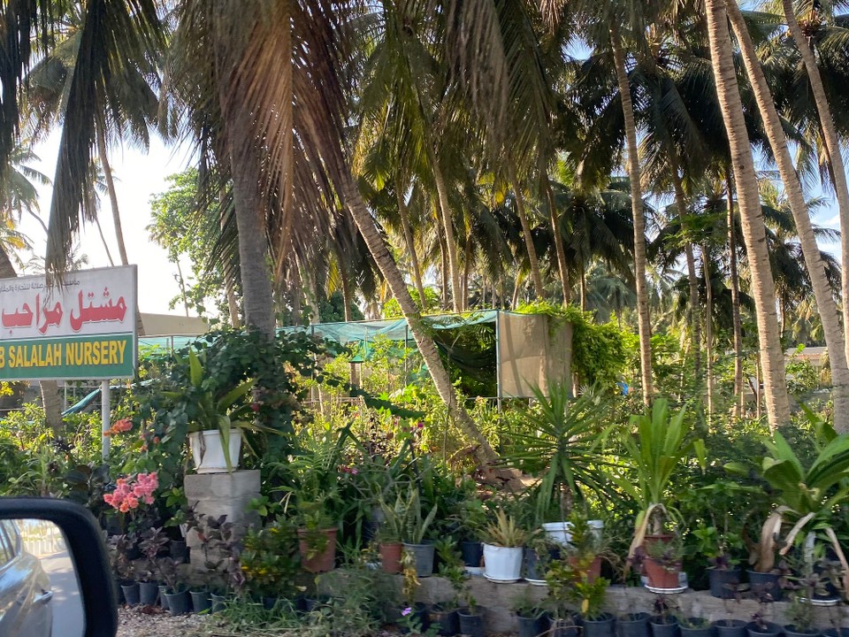 Oman -  - 