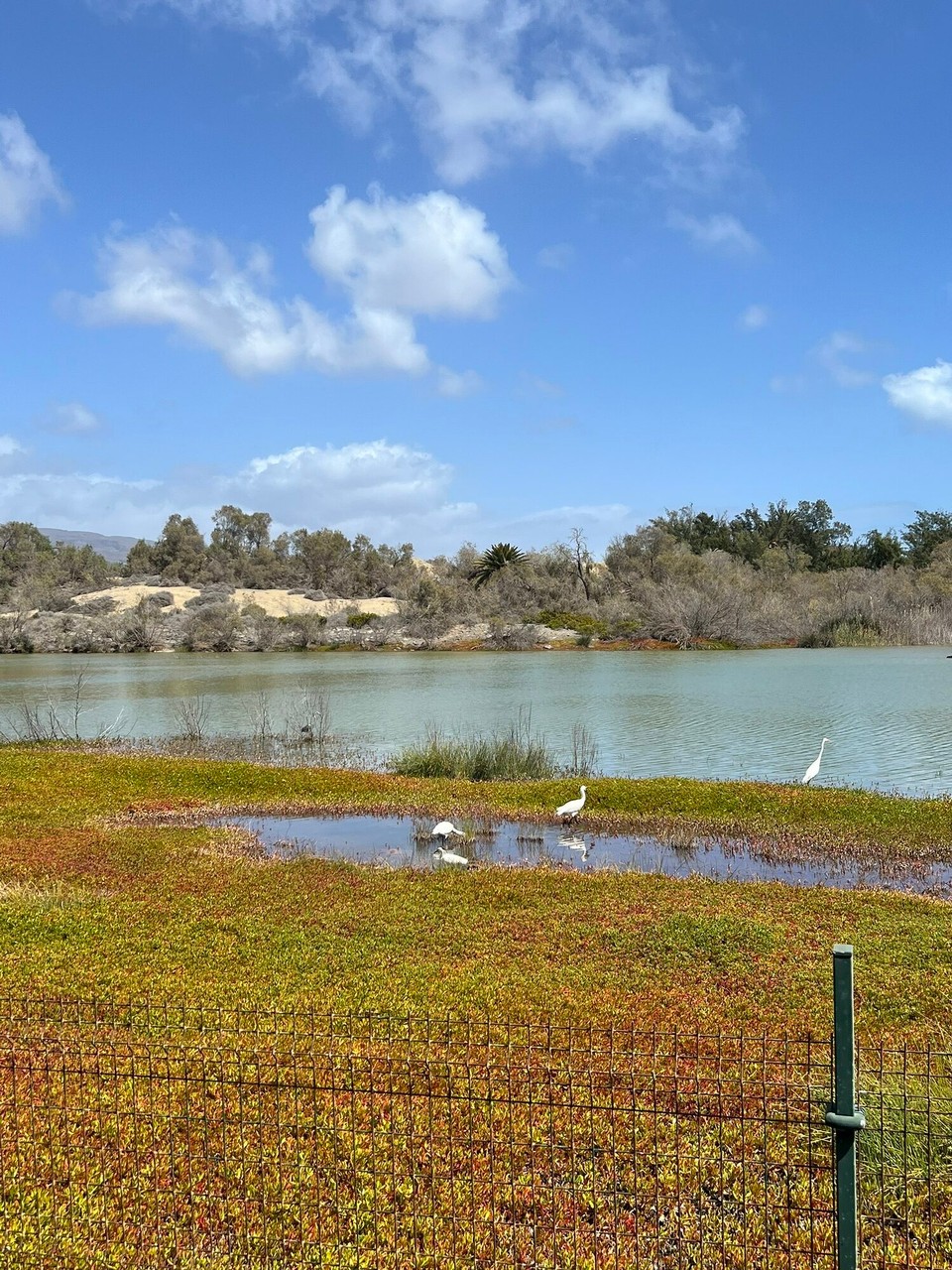 Spanien - Las Palmas de Gran Canaria - 