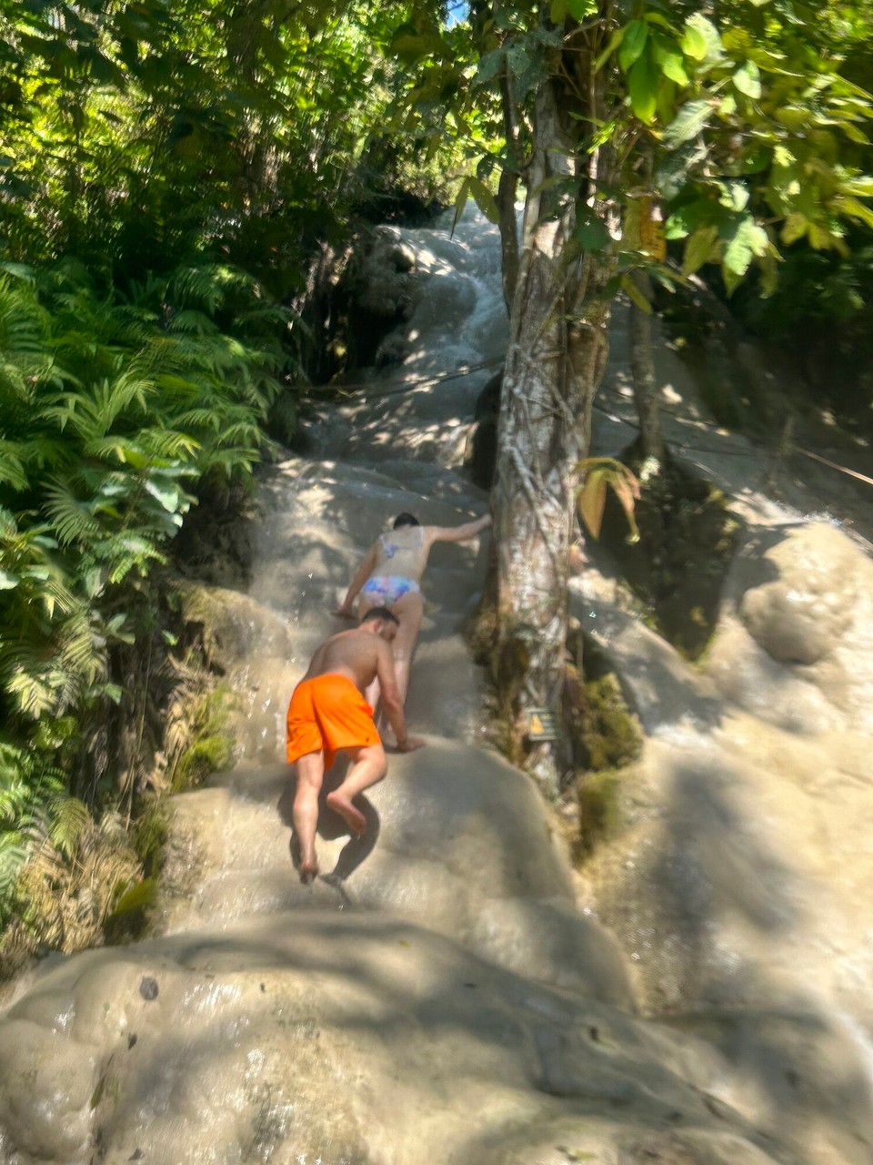 Thailand - Chiang Mai - 