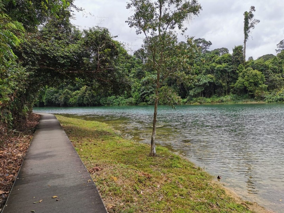 Singapur - Singapur - 