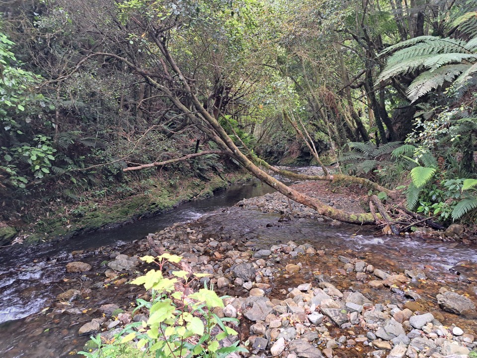 Neuseeland - Waikanae - 