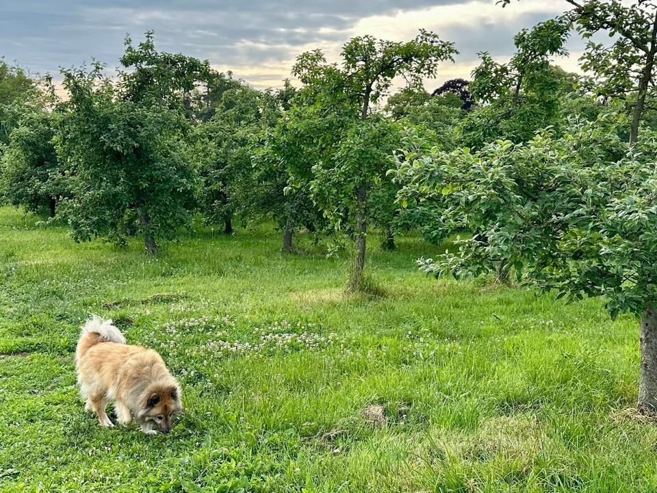 Frankreich - Ducy-Sainte-Marguerite - 