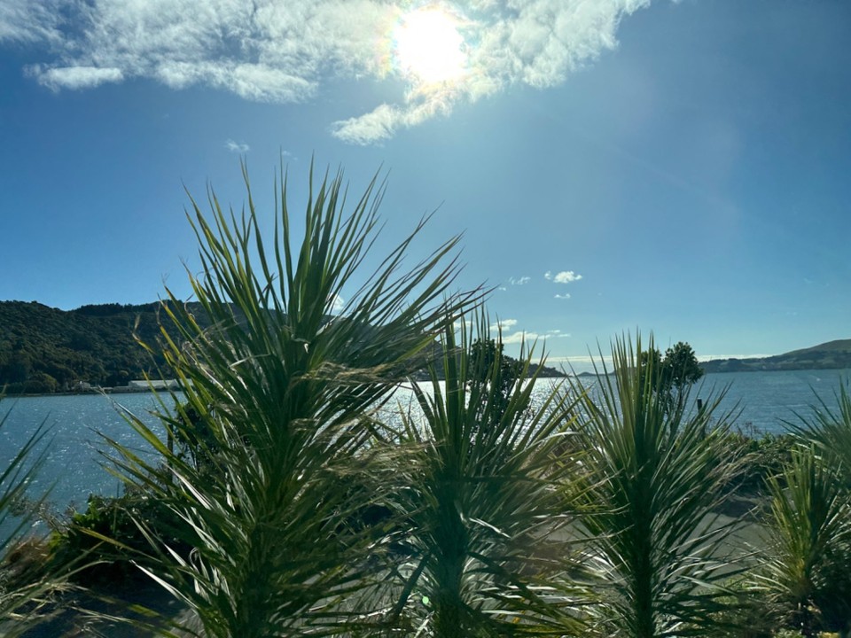 Neuseeland - Dunedin - 