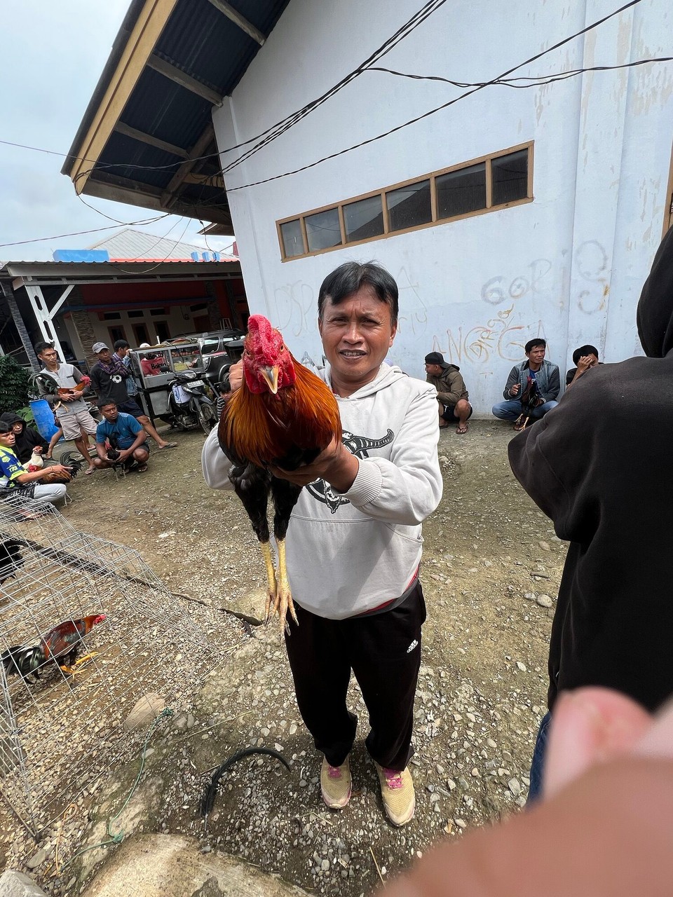 Indonesien - North Toraja Regency - Der stolze Käufer. 
Mit dem Hahn lässt sich viel Geld verdienen. 
Glücksspiel ist in Indonesien zwar verboten, aber die Toraja’s haben eine Lizenz erworben, die es ihnen gestattet die Tradition in dem muslimischen Land betreiben zu dürfen.

